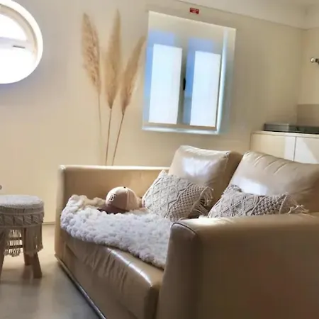 Up Roselight * Aveiro